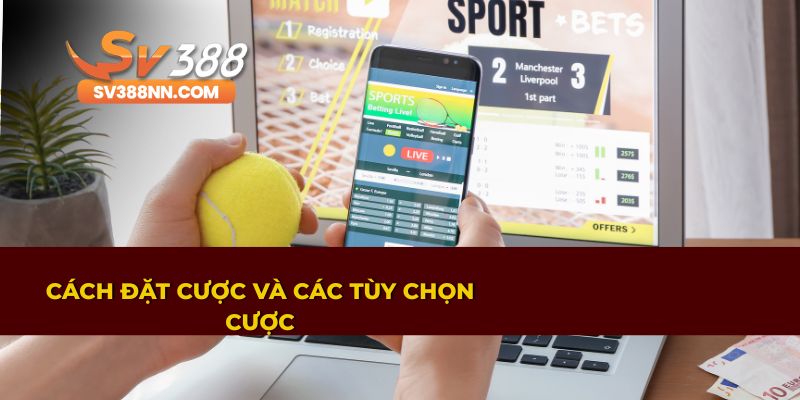Chi Tiết Những Lợi Ích Khi Cá Độ Tại Sảnh BTi Sports 4 Phương pháp đặt cược đúng đắn