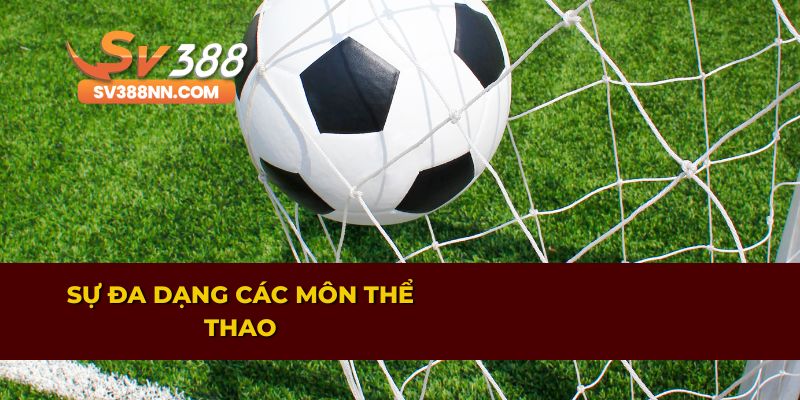 Chi Tiết Những Lợi Ích Khi Cá Độ Tại Sảnh BTi Sports 2 Các môn thể thao phong phú tại sảnh game