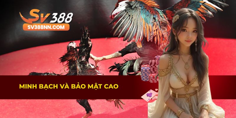 ĐÁ GÀ 2 Đá gà SV388 đảm bảo minh bạch và an toàn thông tin người chơi
