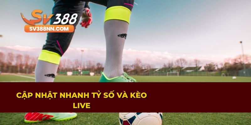 THỂ THAO 1 Theo dõi tỷ số và kèo live nhanh chóng tại thể thao SV388